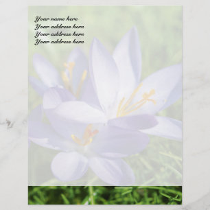 Papel Timbrado Crocus