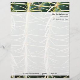 Papel Timbrado Endereço feito sob encomenda da foto tropical do