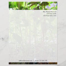 Papel Timbrado Endereço Personalizado de Fotografias de Mudas Ver