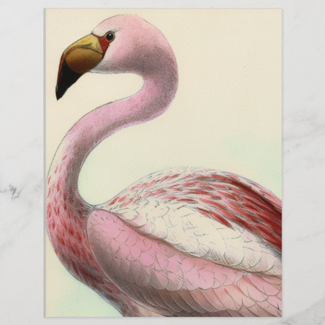 Papel Timbrado Flamingo Antigo (Frente)