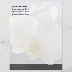 Papel Timbrado Flor de Orquídea Branca
