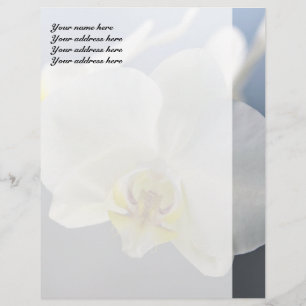 Papel Timbrado Flor de Orquídea Branca