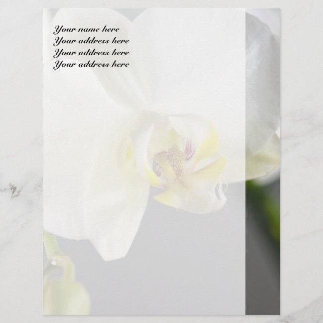 Papel Timbrado Flor de Orquídea Branca (Frente)