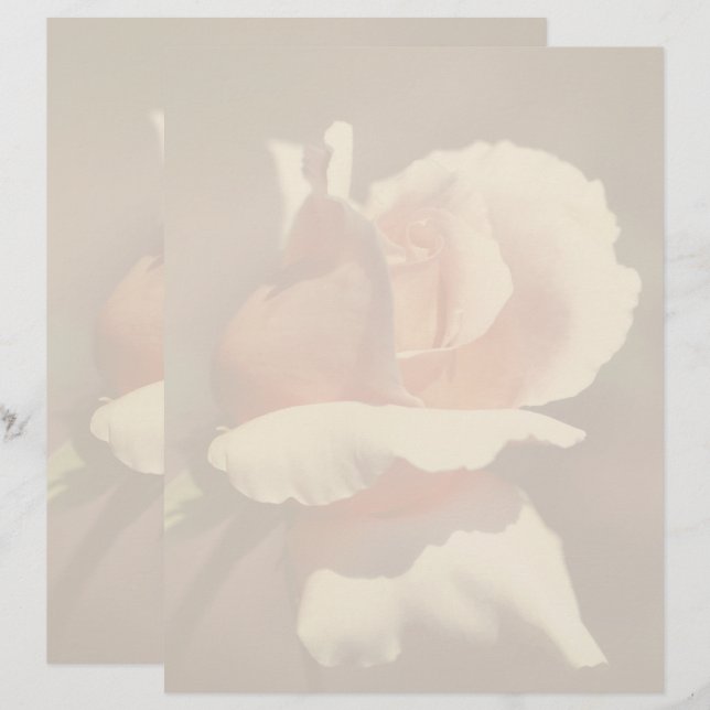 Papel Timbrado Flor de Rosa Bebê Pêssego Natureza (Frente/Verso)