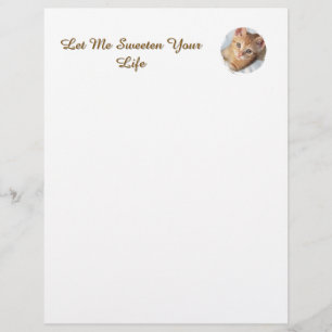 Papel Timbrado Foto de Gato Fofo com Texto Substituível, Cabeçalh