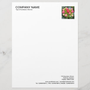 Papel Timbrado Foto do canto - Buds Kalanchoe