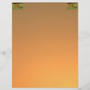 Papel Timbrado Kansas Red Horse - Letra Head