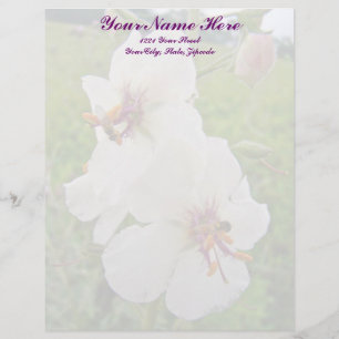 Papel Timbrado Letra Moth Mullein Wildflower