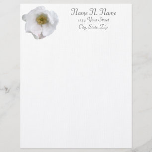 Papel Timbrado Letterhead de Elementos de Coordenação de Rosa de 