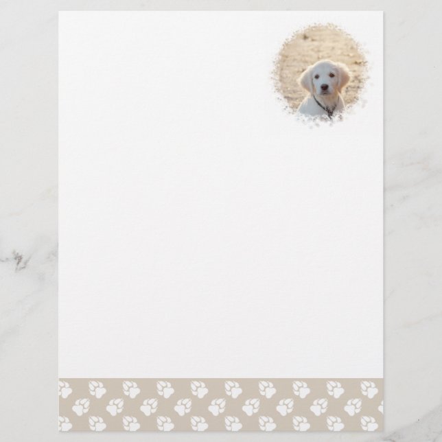 Papel Timbrado Modelo de Foto de Animal de Estimação Personalizad (Frente)