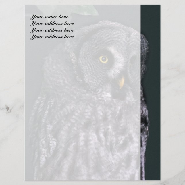 Papel Timbrado Modelo Letterhead Cinza excelente (Frente)