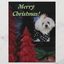 Papel Timbrado Natal maltês