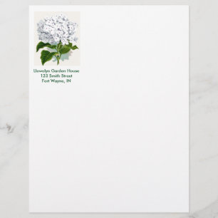 Papel Timbrado Página botânica do vintage - Hydrangea branco