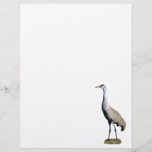Papel Timbrado Papel Letterhead Fotográfico Sandhill Crane