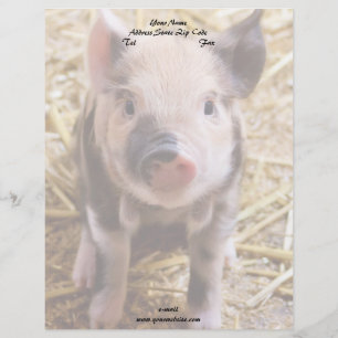 Papel Timbrado Piglet