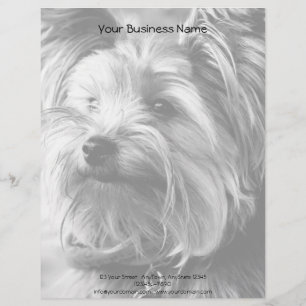 Papel Timbrado Retrato preto e branco de Yorkie do yorkshire