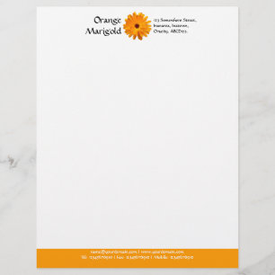 Papel Timbrado Rodapé Cor (Marigold Laranja) - Laranja