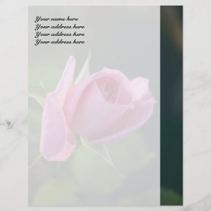 Papel Timbrado Rosa Rosa