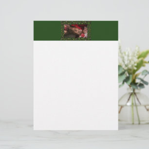 Papel Timbrado SlipperyJoe masculino do peito seis pacotes de est