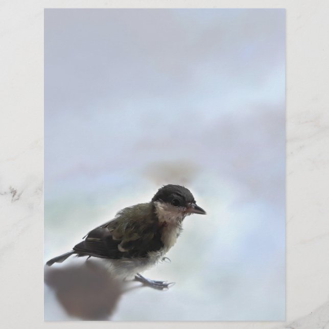 Papel Timbrado Tidi, meu Pássaro, o Parus Major (Frente)