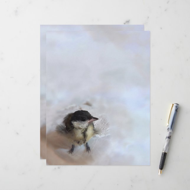 Papel Timbrado Tidi, meu Pássaro, o Parus Major (Frente/Verso In Situ)