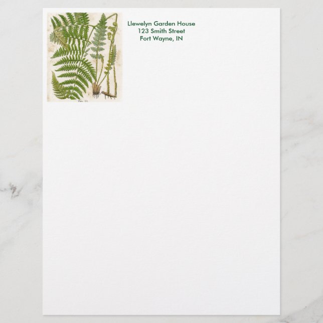 Papel Timbrado Vintage Botanical Page - Fern (Frente)