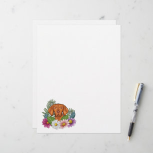 Papel Timbrado Vizsla Húngara Com Flores De Verão Coloridas