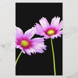 Papelaria 2 Cosmos