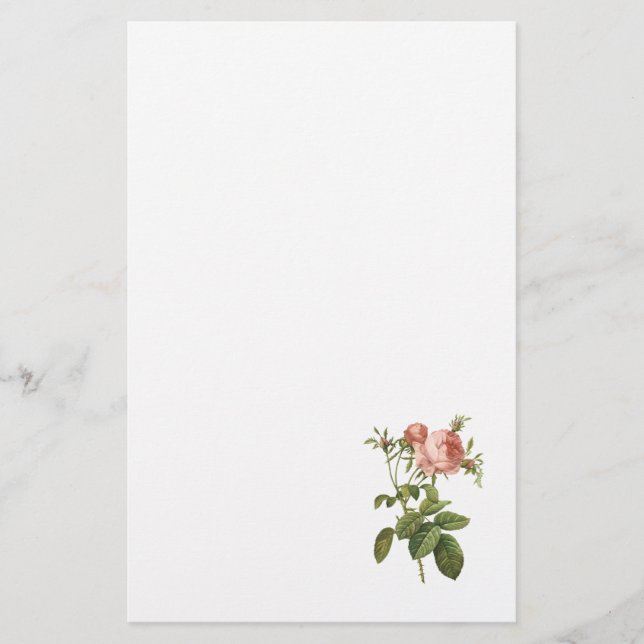 Papelaria a couve aumentou (foliacea do centifolia de Rosa) (Frente)