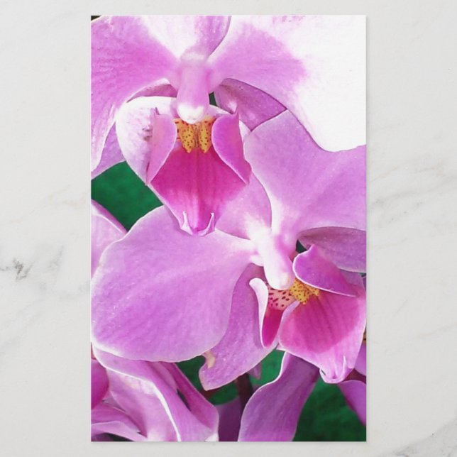 Papelaria A floração das orquídeas se fecha a rosa (Frente)
