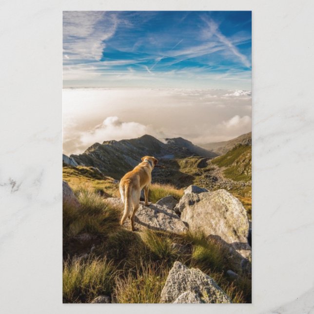 Papelaria A viagem (Frente)