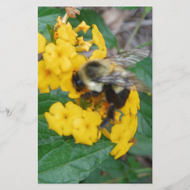 Papelaria Abelha amarela e preta na flor amarela (Frente)