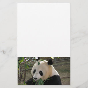 Papelaria Abraços de Urso Panda