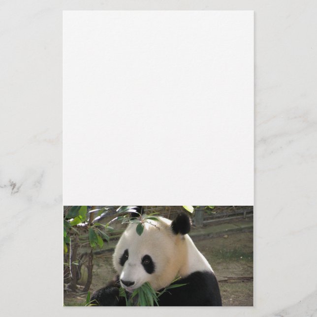Papelaria Abraços de Urso Panda (Frente)