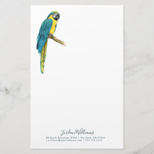 Papelaria Adicionar Seu Nome Uma Macaw Teal