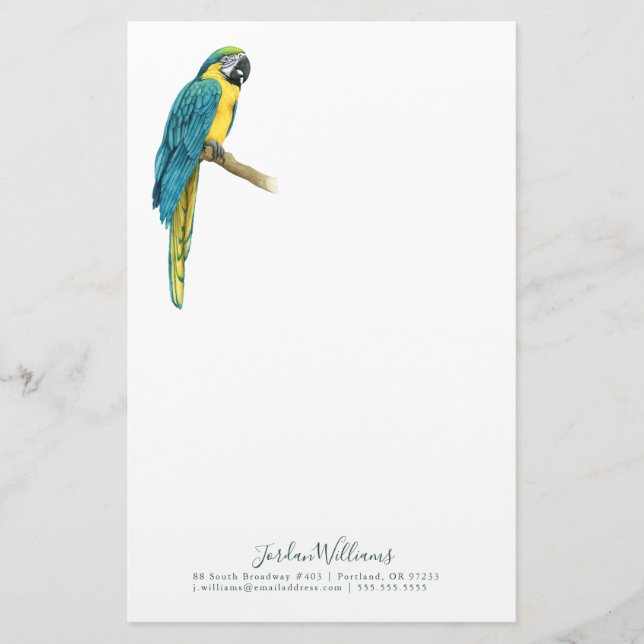 Papelaria Adicionar Seu Nome| Uma Macaw Teal (Frente)