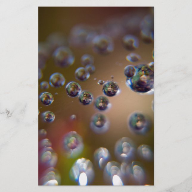 Papelaria Água em Movimento (Frente)