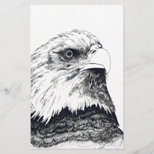 Papelaria Águia Bald Americano