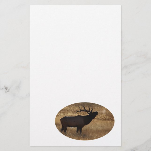 Papelaria alces (Frente)