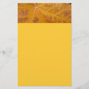 Papelaria Amarelo Mapeador Folha de outono Natureza Abstrato