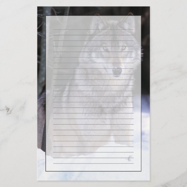 Papelaria América do Norte, Canadá, Canadá Oriental, lobo-Ci (Frente)