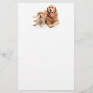 Papelaria Amigos do golden retriever