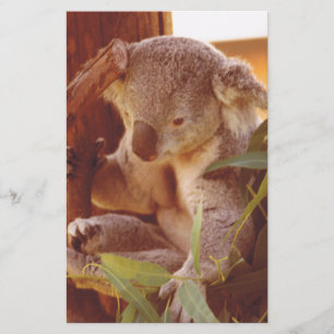 Papelaria Amor Koala