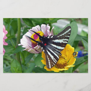 Papelaria Andorinha-cauda-de-zebra+Besouro-japonês