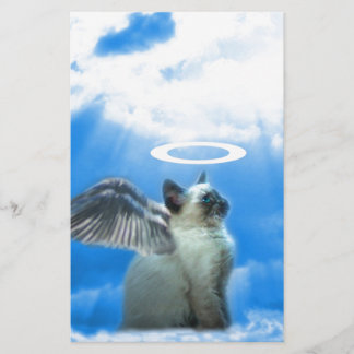 Papelaria Angel Siamese Kitten