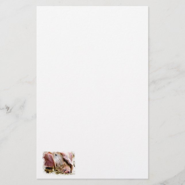 PAPELARIA ANIMAIS DE EXPLORAÇÃO, SUÍNOS (Frente)