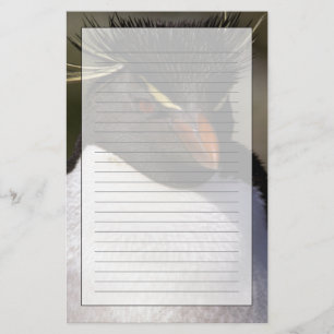 Papelaria Antártida, Ilhas Subantárticas, Sul 5
