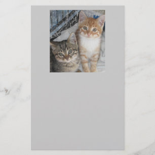 Papelaria Apenas Kittens
