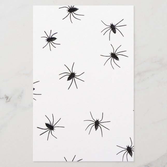 Papelaria aranhas (Frente)
