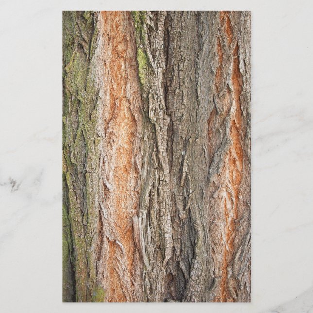 Papelaria árvore antiga (Frente)